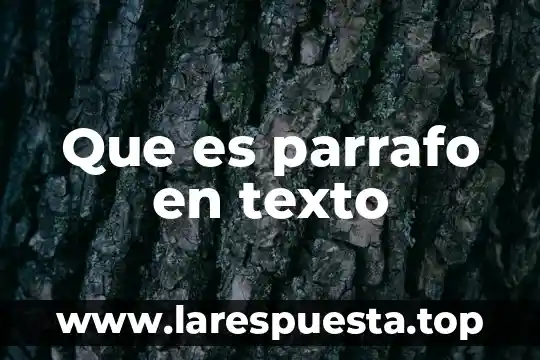 Que es un texto perdurable 4 Que es parrafo en texto