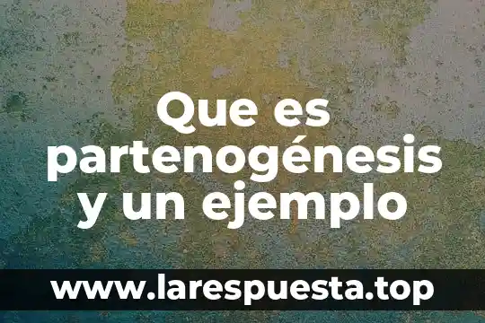 Como se puede proteger una persona que es sanadora y absorbe todo 5 Que es partenogénesis y un ejemplo