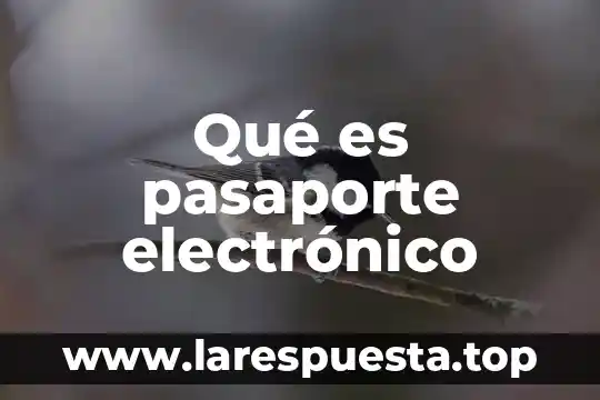 Qué es pasaporte electrónico