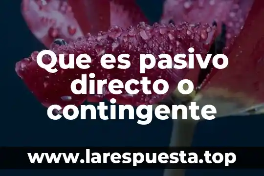 Que es pasivo directo o contingente