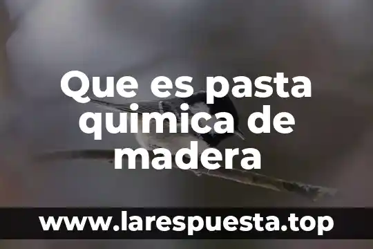 Que es pasta quimica de madera