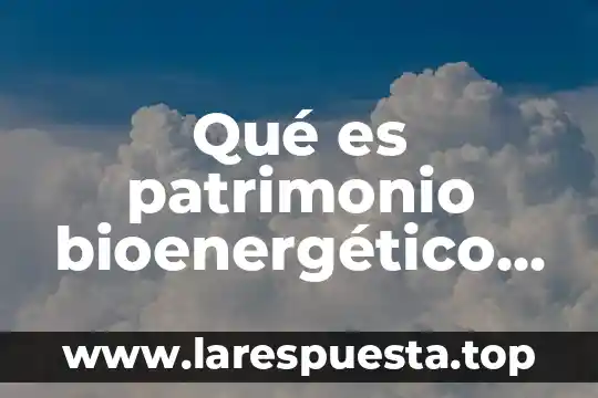 Qué es lo que más compran los hoteles en México 6 Qué es patrimonio bioenergético en México