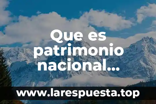 Que es patrimonio nacional concepto