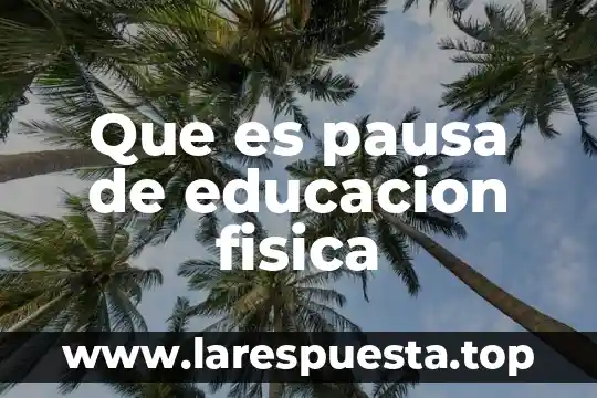 Que es el recorrido total en física 7 Que es pausa de educacion fisica