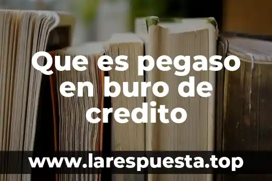 Que es el formato intl de buro credito 8 Que es pegaso en buro de credito