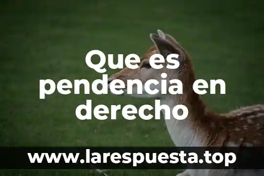 Que es pendencia en derecho