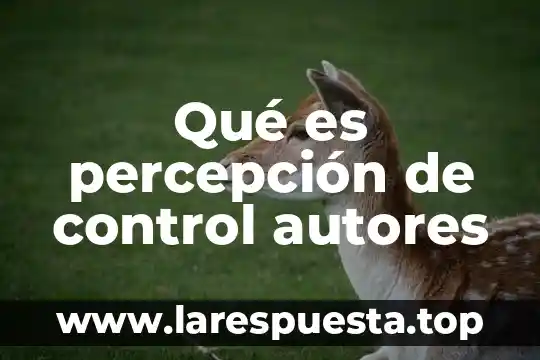 Que es la percepción de problema 8 Qué es percepción de control autores