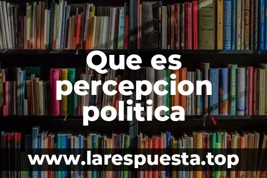 Qué es percepción de control autores 3 Que es percepcion politica