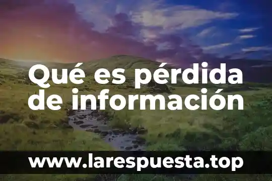 Que es perdida directa 5 Qué es pérdida de información