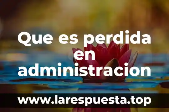 Qué es outsourcing en administración 8 Que es perdida en administracion