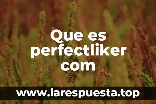 Que es la com unicacion medica 8 Que es perfectliker com