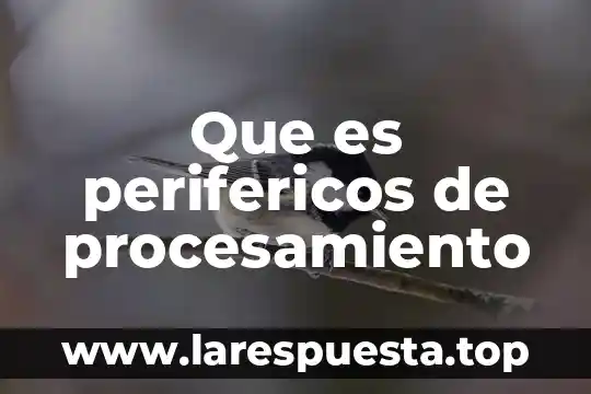 Qué es un procesamiento de una empresa 7 Que es perifericos de procesamiento