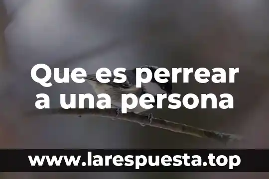 Que es una persona prosaica y lepera 5 Que es perrear a una persona