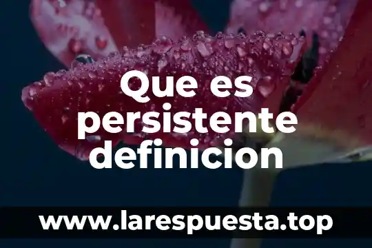 Que es persistente definicion