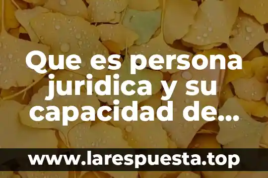 Que es persona juridica y su capacidad de goce