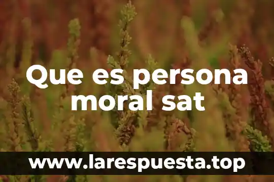 Que es documentos relacionados en sat 6 Que es persona moral sat
