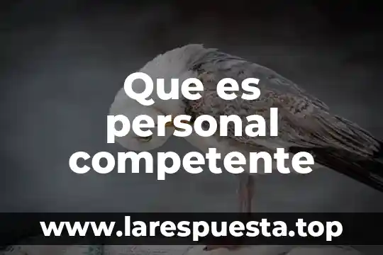 Que es la gerencia personal 6 Que es personal competente