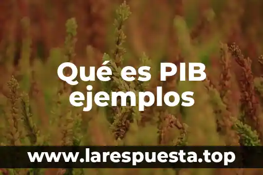 Que es la recaudación fiscal del pib 4 Qué es PIB ejemplos