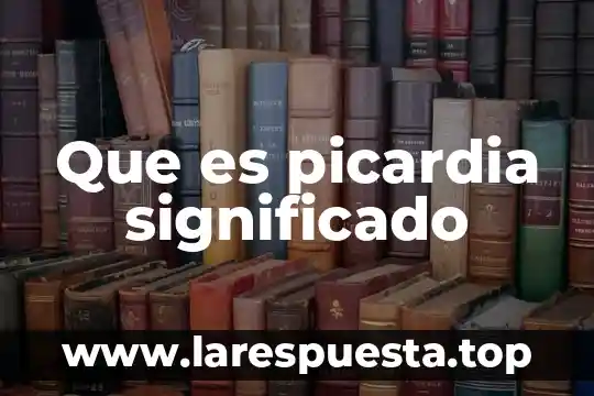 Que es topicos significado profesional 5 Que es picardia significado