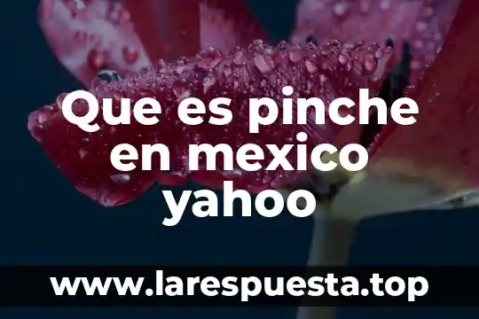 Que es pinche en mexico yahoo
