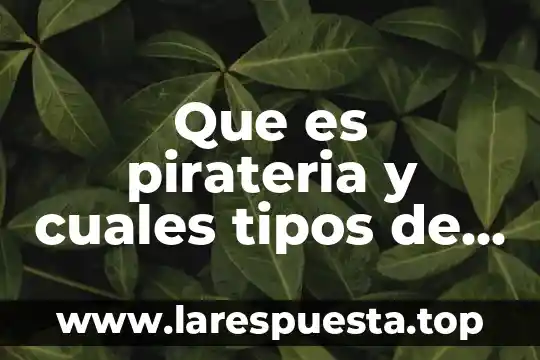 Que es pirateria y cuales tipos de pirateria existen