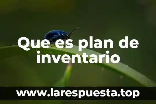 Que es un plan global 6 Que es plan de inventario