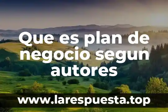 Que es plan de negocio segun autores