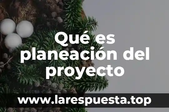 Qué es planeación del proyecto
