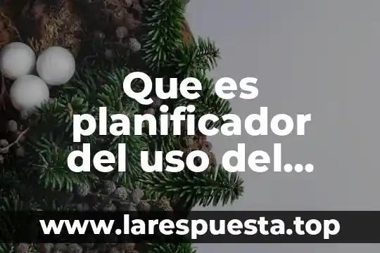 Que es planificador del uso del tiempo