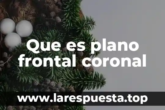Que es plano frontal coronal