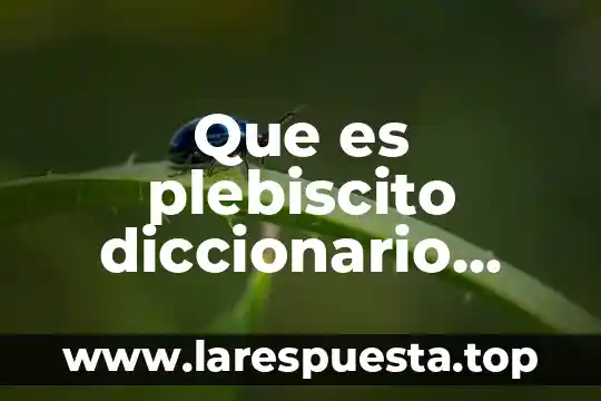 Que es plebiscito diccionario escricher