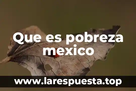 Que es papalote en mexico 4 Que es pobreza mexico