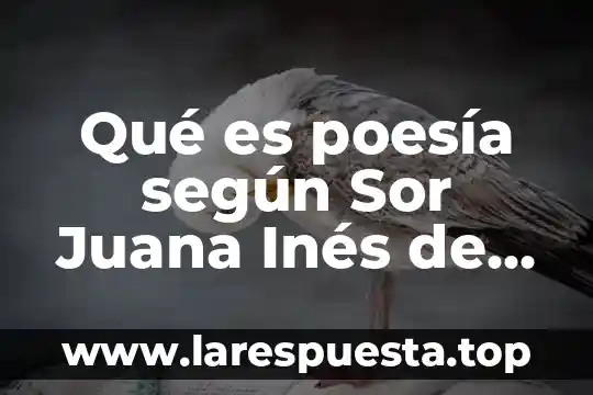 Qué es poesía según Sor Juana Inés de la Cruz