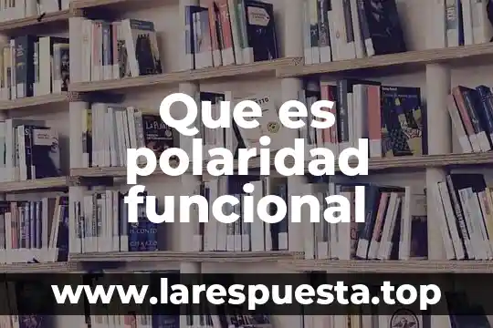 Que es el sincitio funcional 6 Que es polaridad funcional