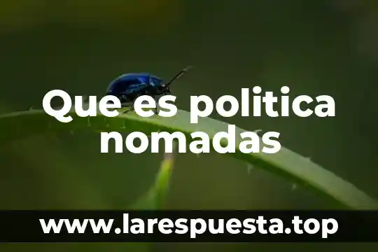 Que es una gráfica en español 5 Que es politica nomadas