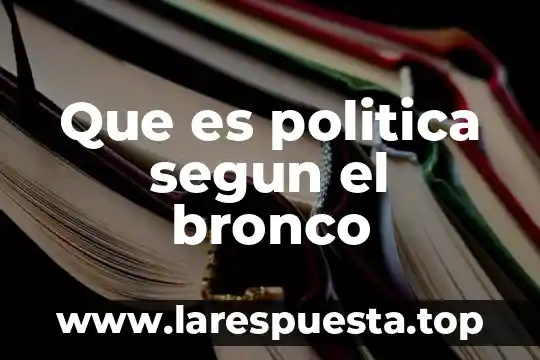 Que es politica segun el bronco