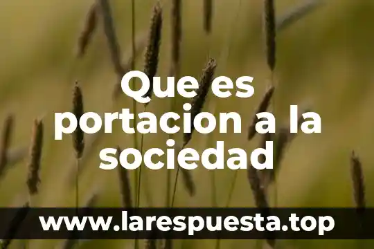 Que es portacion a la sociedad