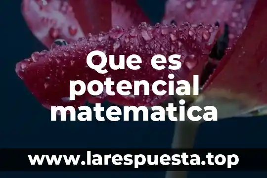 Que es una antologia de matematica definición 6 Que es potencial matematica