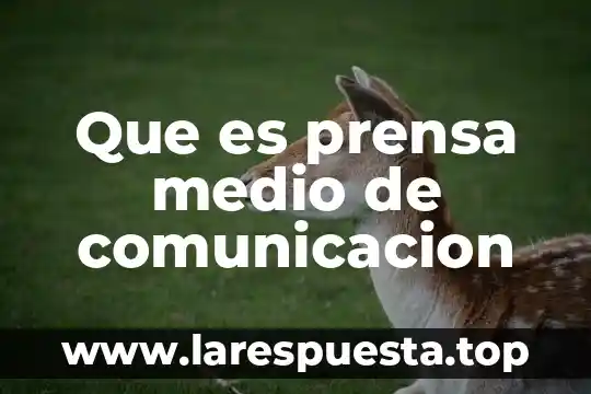 Que es prensa medio de comunicacion