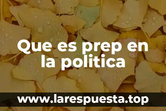 Que es la politica sabater 6 Que es prep en la politica