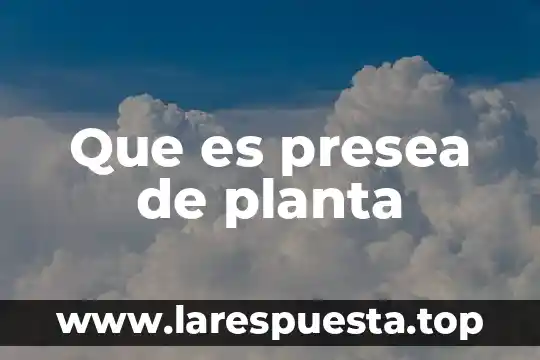 Que es presea de planta