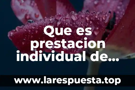 Que es una prestacion segun la lft 8 Que es prestacion individual de servicios de salud