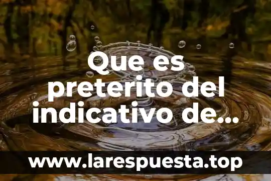 Que es preterito del indicativo de tener