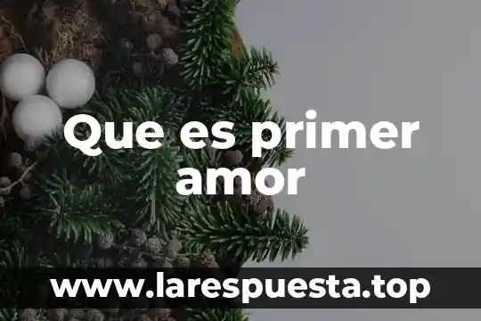 Que es primer amor