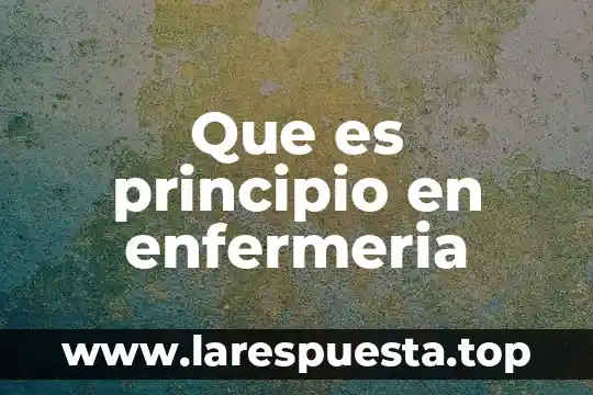 Que es principio en enfermeria