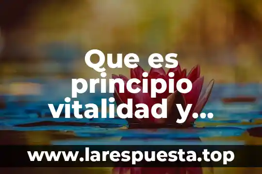 Que es principio vitalidad y salud