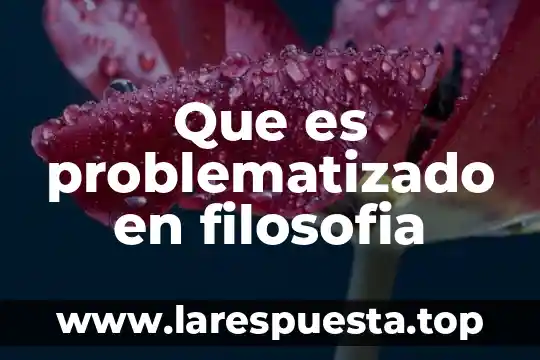 Que es problematizado en filosofia