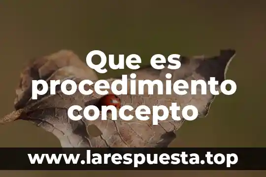 Que es procedimiento concepto