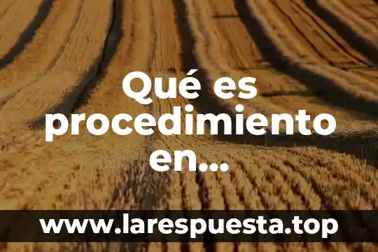 Qué es procedimiento en administración y ejemplos