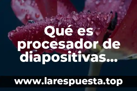 Mhz procesador que es 8 Qué es procesador de diapositivas electrónicas